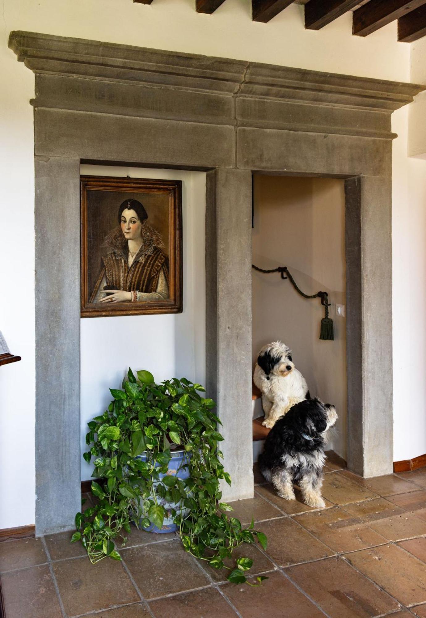I Casciani Villa Montespertoli Dış mekan fotoğraf